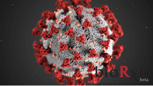 bioRxiv & medRxiv COVID19-Sanity